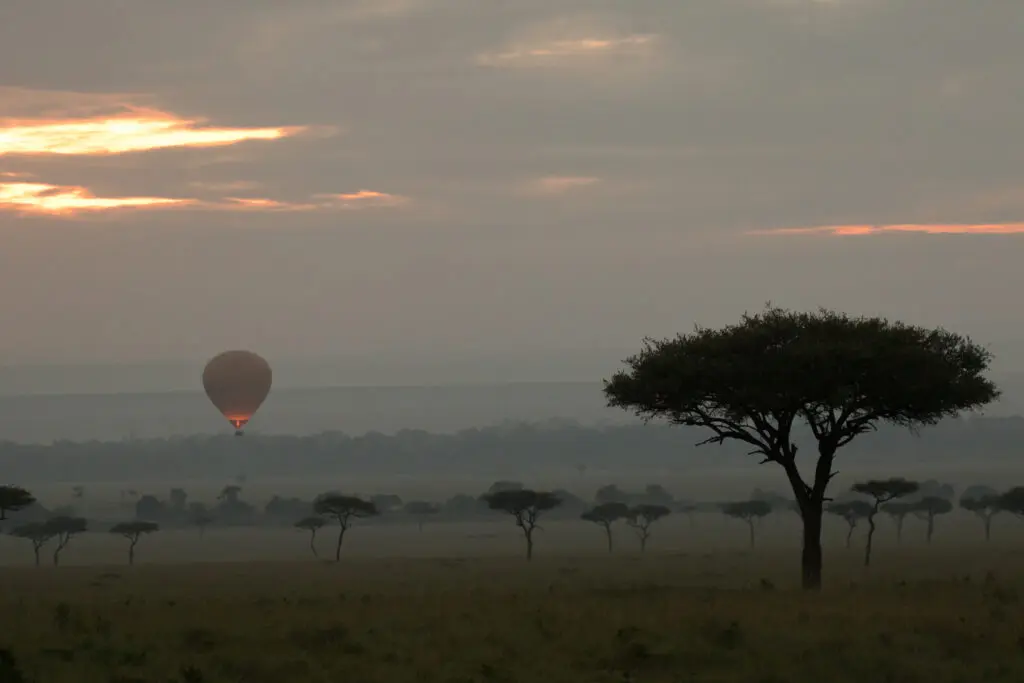 Balloon safari in the Masai Mara