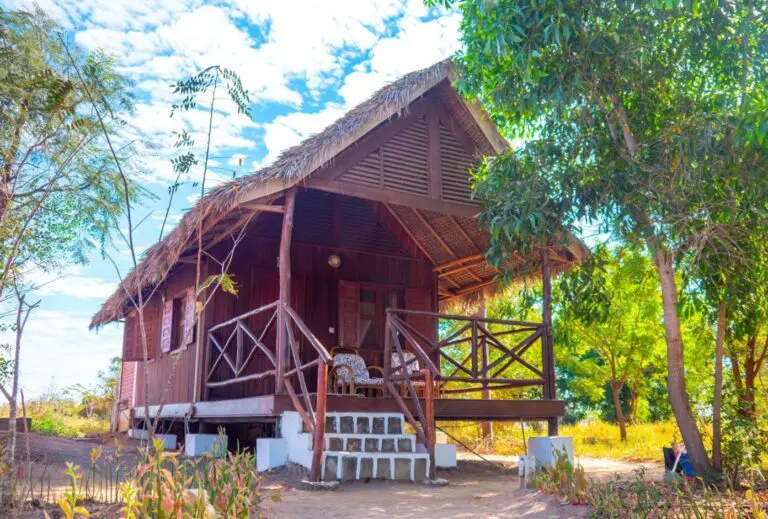 Baobab Marandavo Relaisdukirindy