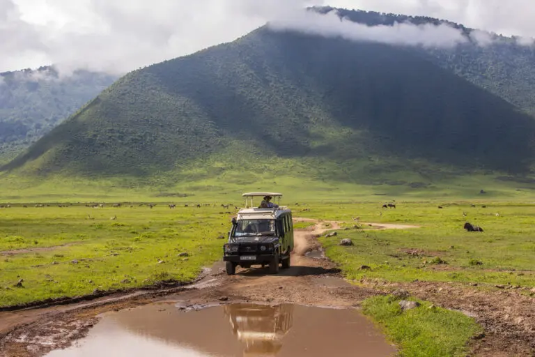 Roadtrippers Driving Serengeti Plains