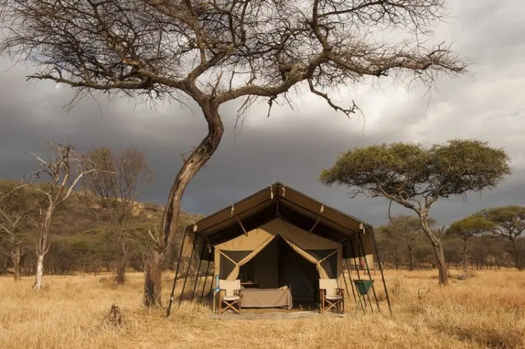 Serengeti Kati Kati Tent 4 800 739103B550d359a3f16eb972eba2d24d