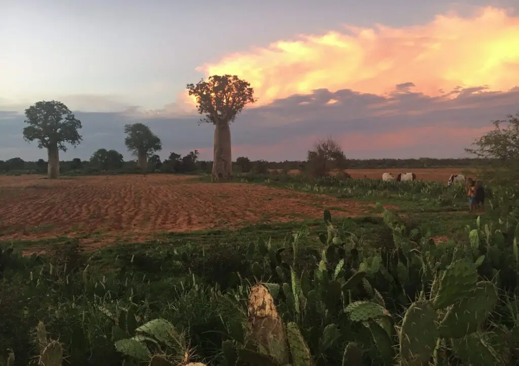 Southern Madagascar