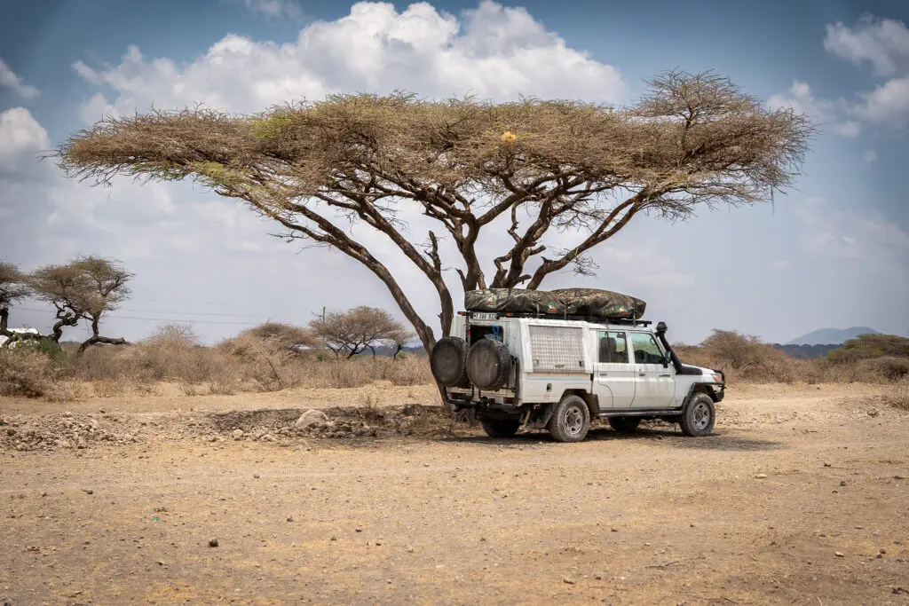 Self-drive safari in the Serengeti