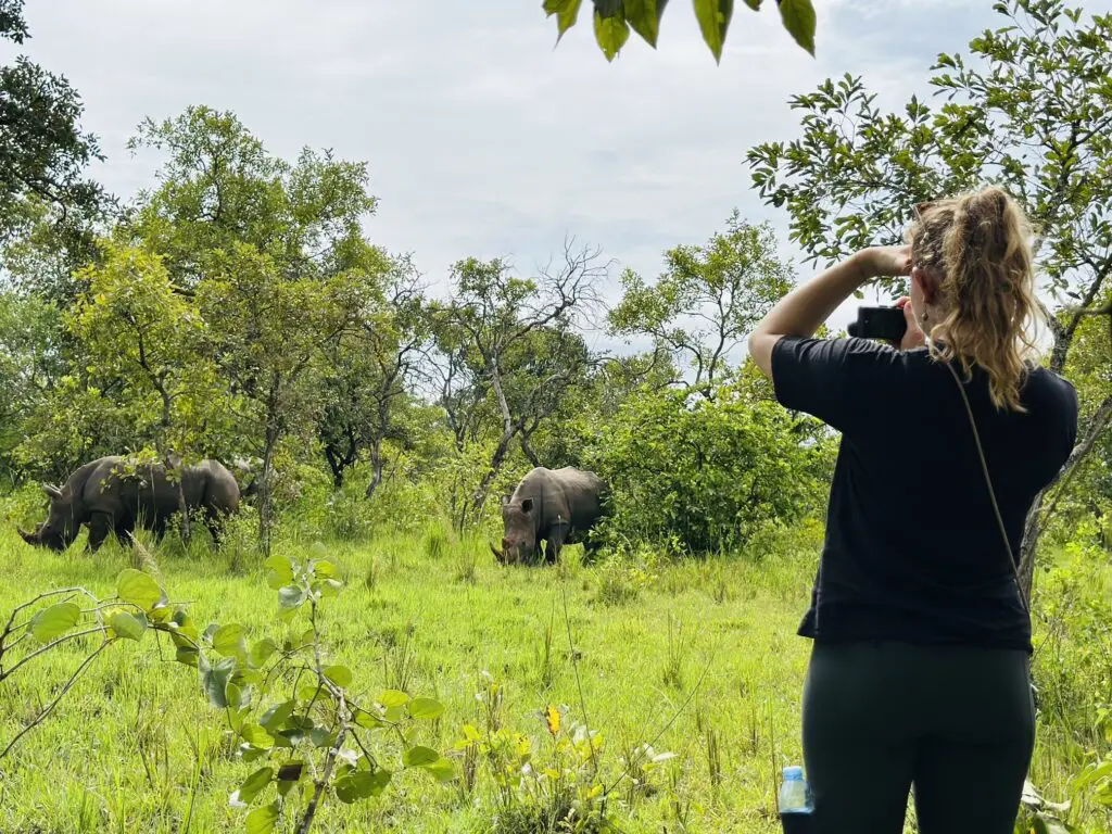Watching Rhino's In Ziwa