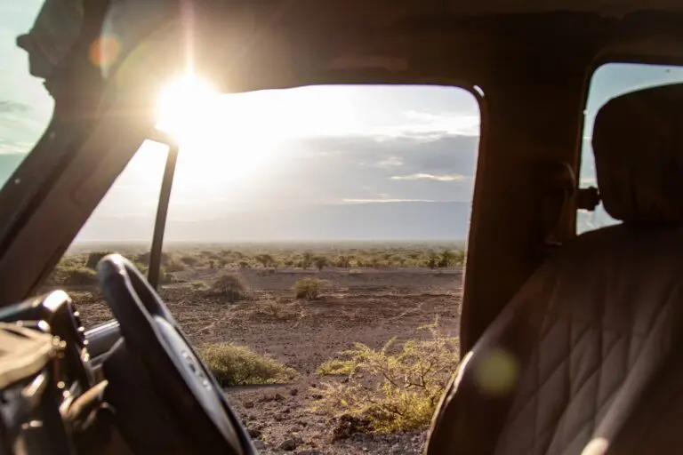view from safari vehicle across a sunny african landscape