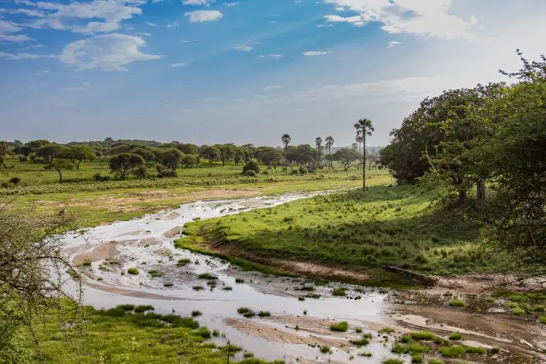 winding river through green savanna landscape in Tanzania